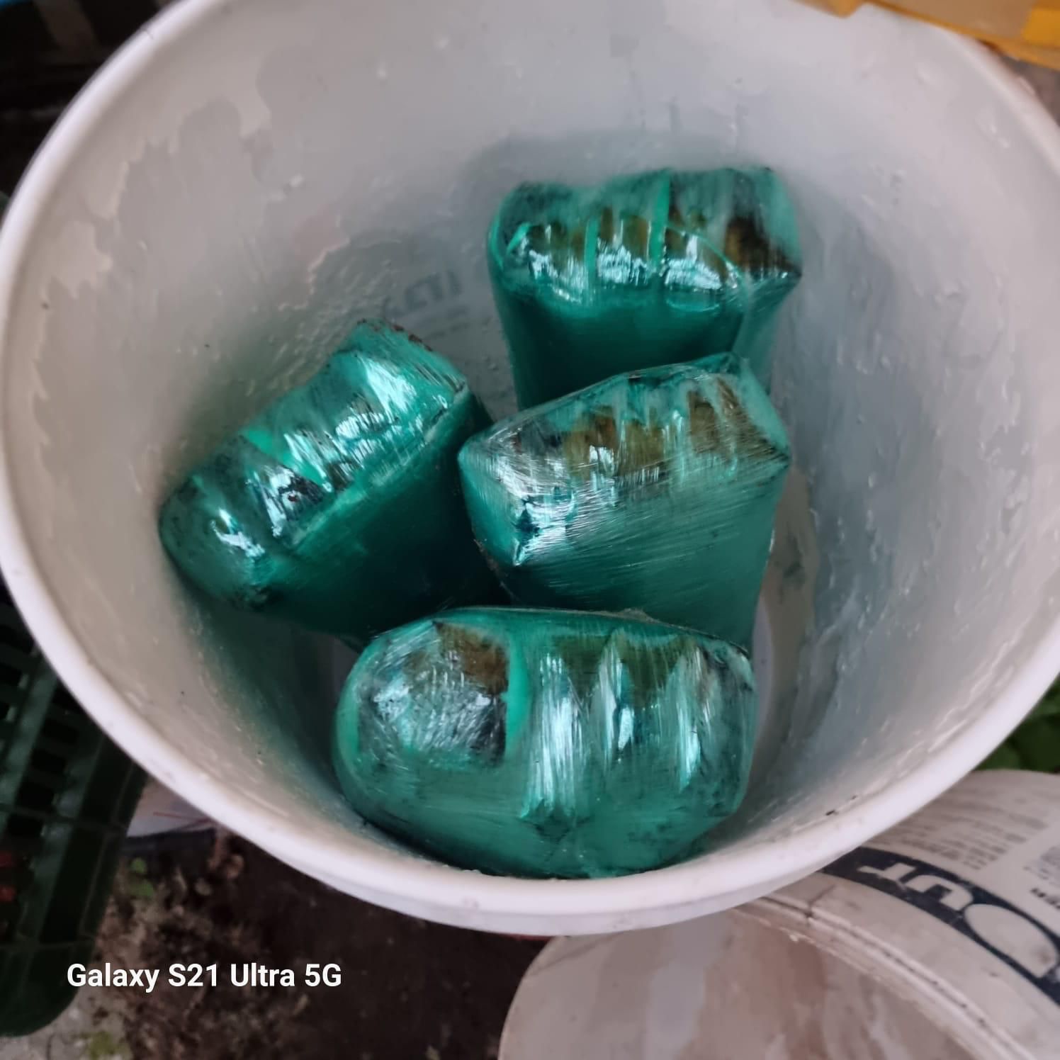 WhatsApp Image 2024-01-07 at 18.19.22 (1).jpeg